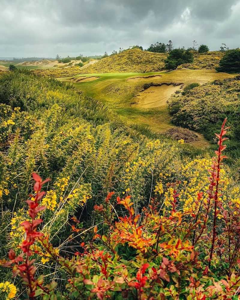 Walking Trails for Visitors Who Do Not Golf Walking Trails for Visitors Who Do Not Golf