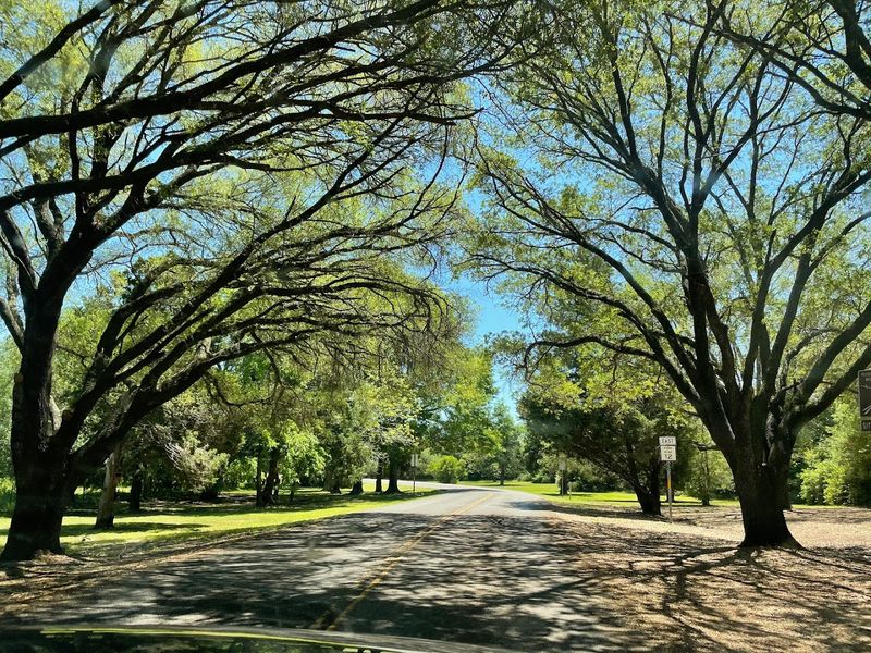 Washington-on-the-Brazos State Historic Site