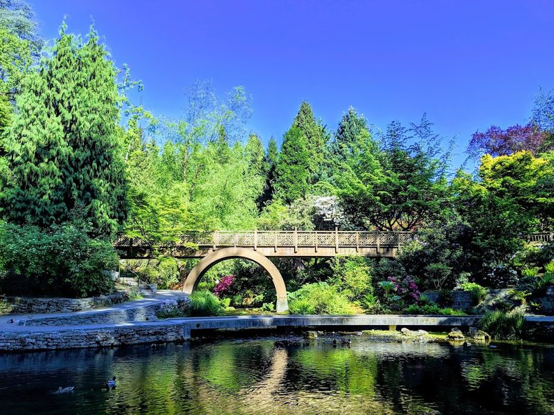 Water Features That Make the Whole Place Feel Alive
