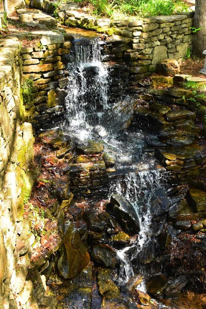 Water Features That Turn a Simple Walk Into Something Special
