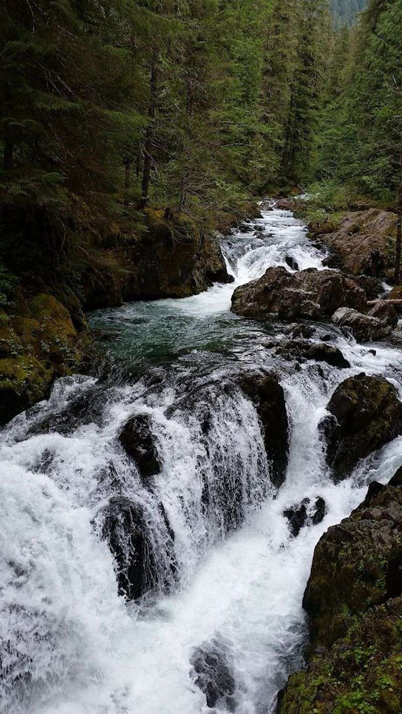 Waterfalls Hidden Along the Route