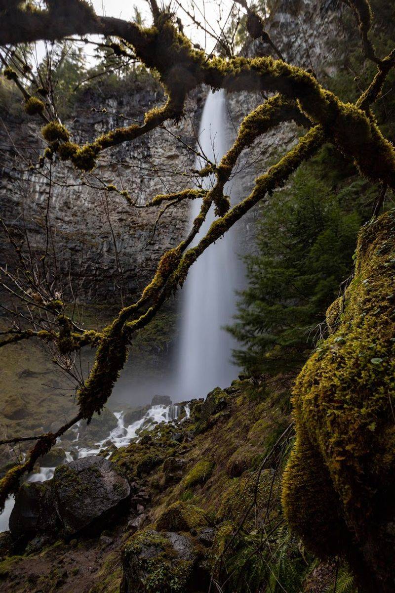 Watson Falls, Umpqua National Forest