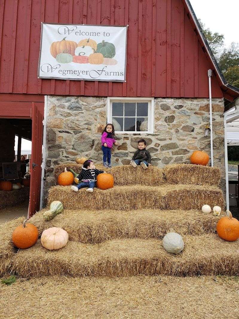 Wegmeyer Farms (Hamilton and Leesburg) Wegmeyer Farms (Hamilton and Leesburg)