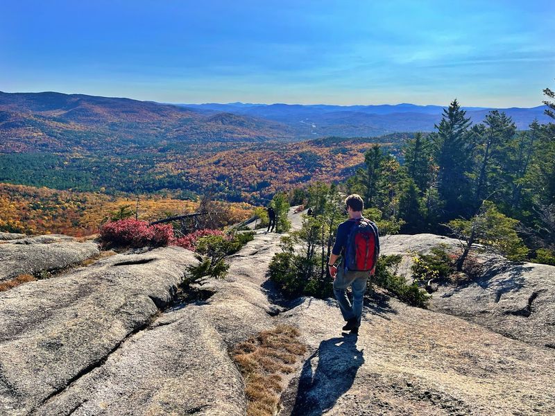 Welch and Dickey Loop