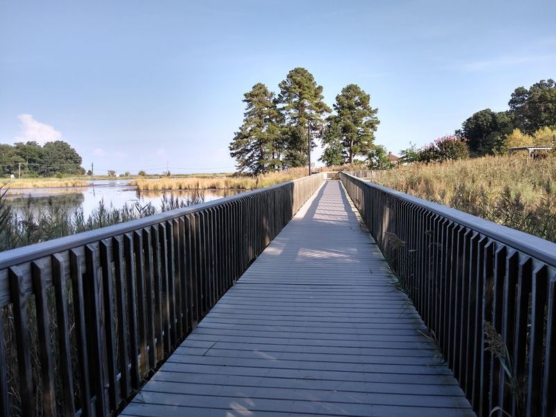 Wetlands Overlook Park, Where Nature Gets Surprisingly Close