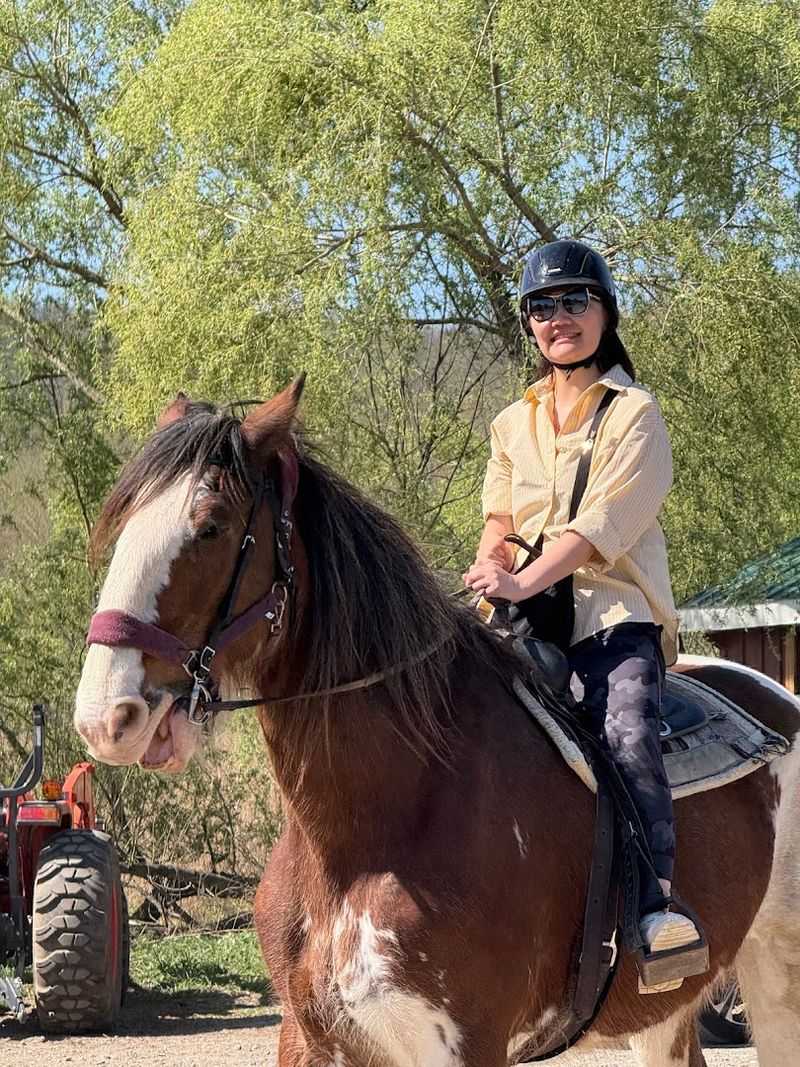 What It Actually Feels Like to Ride a Clydesdale What It Actually Feels Like to Ride a Clydesdale