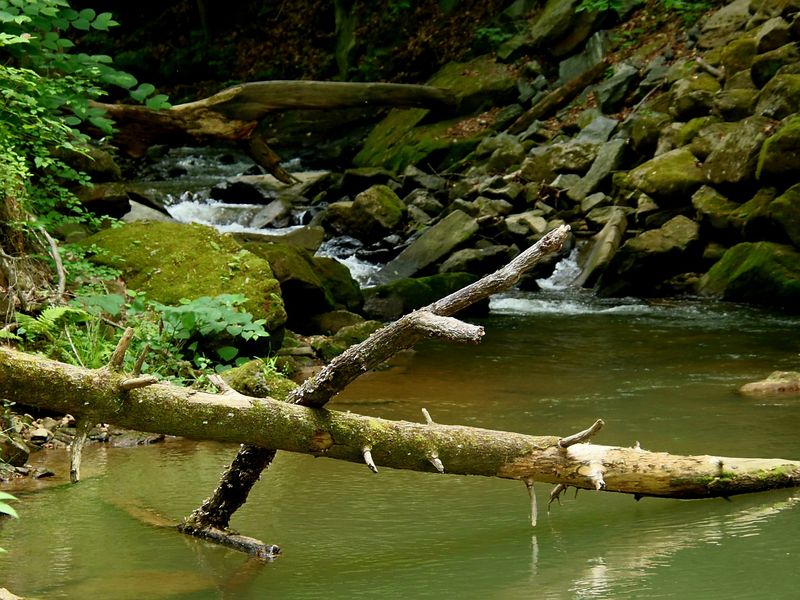 What Makes Little Bradley Falls Worth the Trip