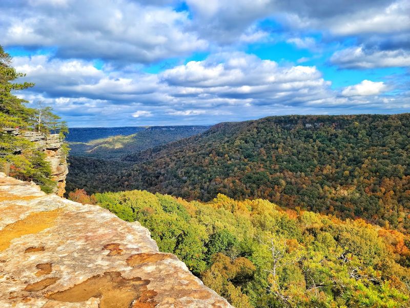 What Makes Savage Gulf State Park So Special