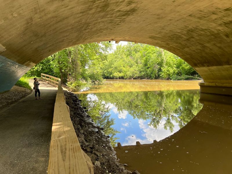 What Makes Swinney Park Worth the Visit Today What Makes Swinney Park Worth the Visit Today