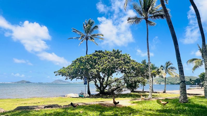 What Makes This Beach Award-Winning