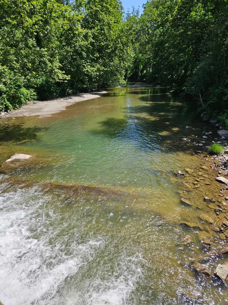 What Swimming Here Actually Feels Like What Swimming Here Actually Feels Like