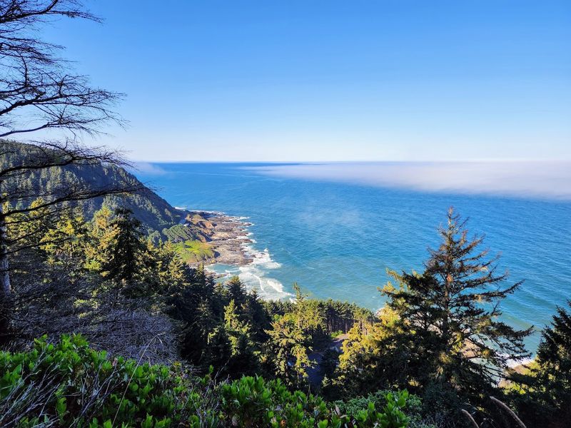 What You Actually See from 800 Feet Up