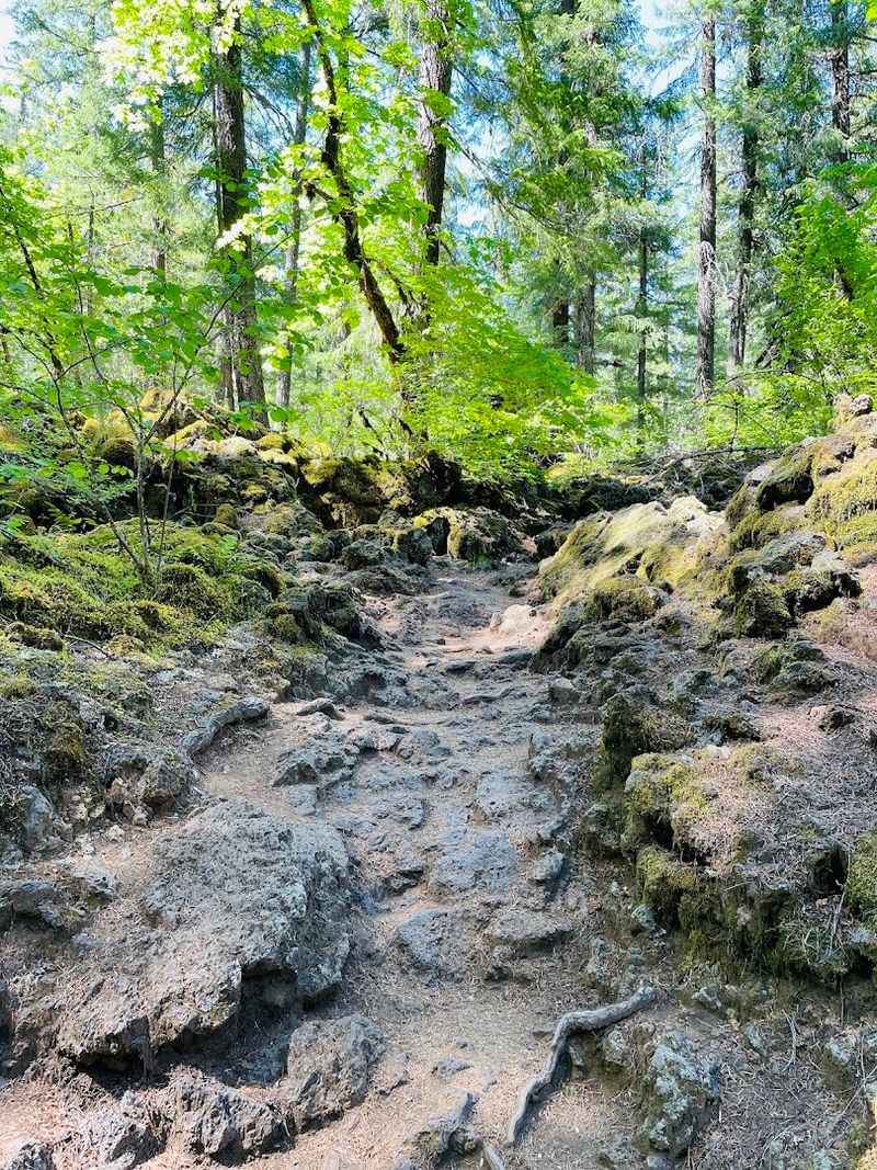 What the 4.5-Mile Round Trip Trail Actually Feels Like What the 4.5-Mile Round Trip Trail Actually Feels Like