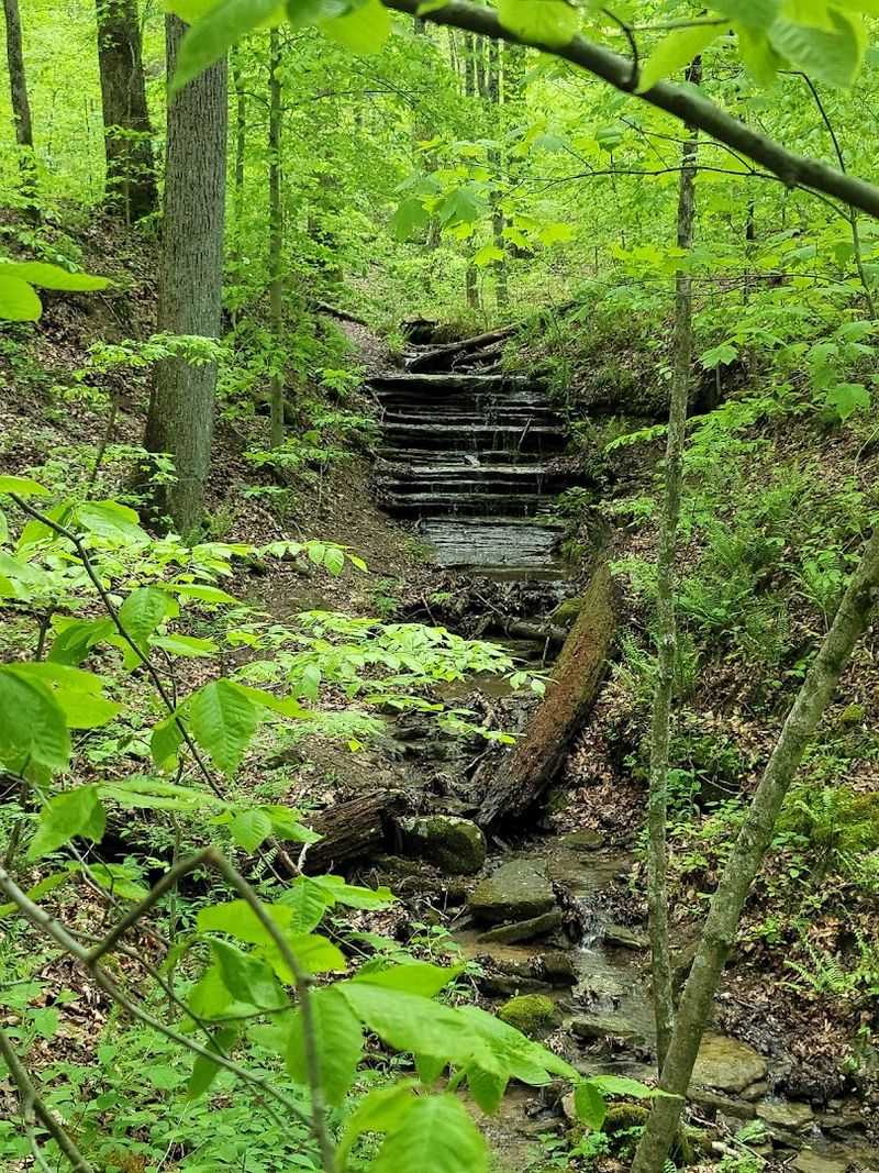 What the Hemlock Cliffs Trail Actually Looks Like What the Hemlock Cliffs Trail Actually Looks Like