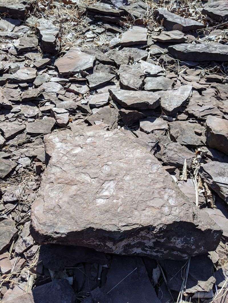 What the Rocks Actually Show
