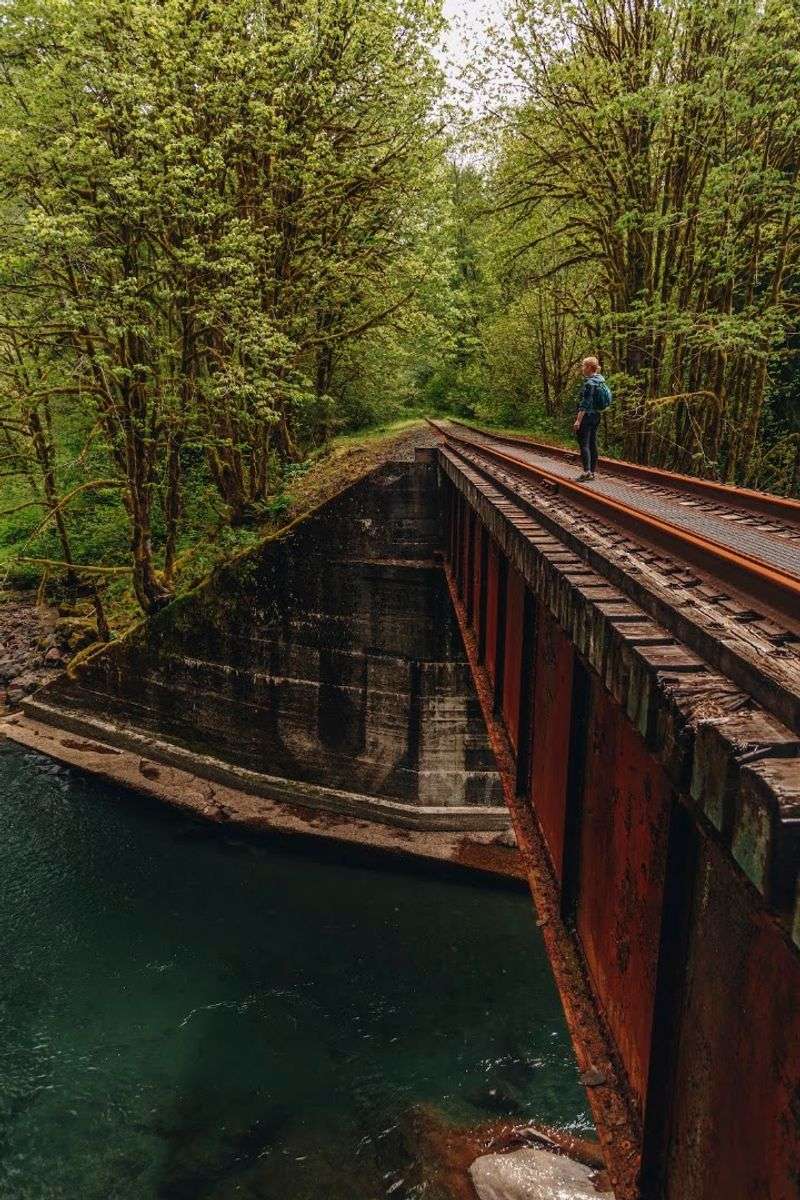 What the Salmonberry Trail Actually Is