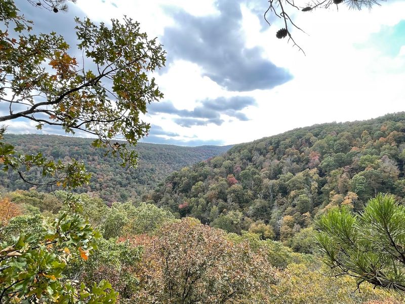 What the Whitaker Point Trail Actually Feels Like Underfoot What the Whitaker Point Trail Actually Feels Like Underfoot