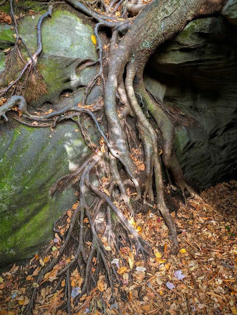 What to Pack and How to Prepare for the Rock Maze Trail