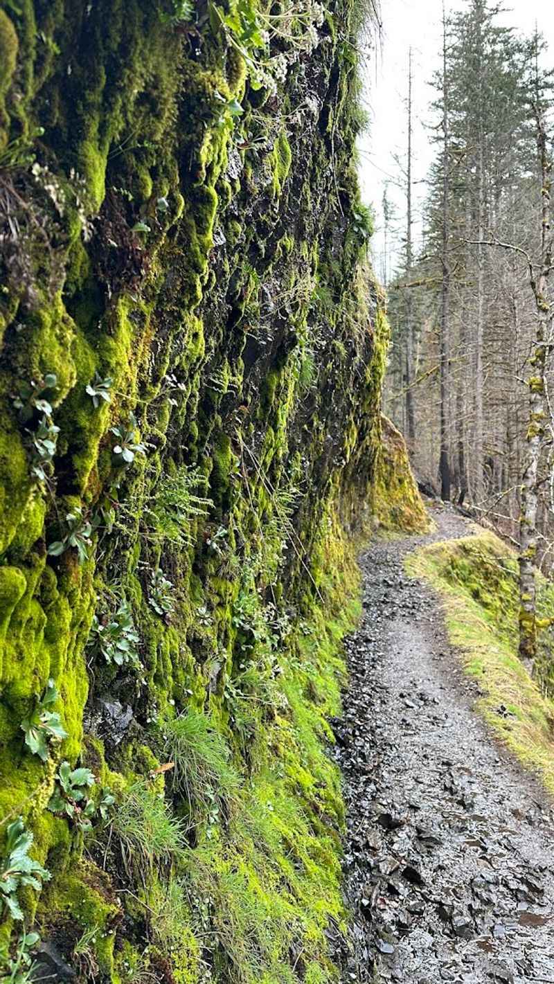 What to Pack for a Successful Day on This Trail
