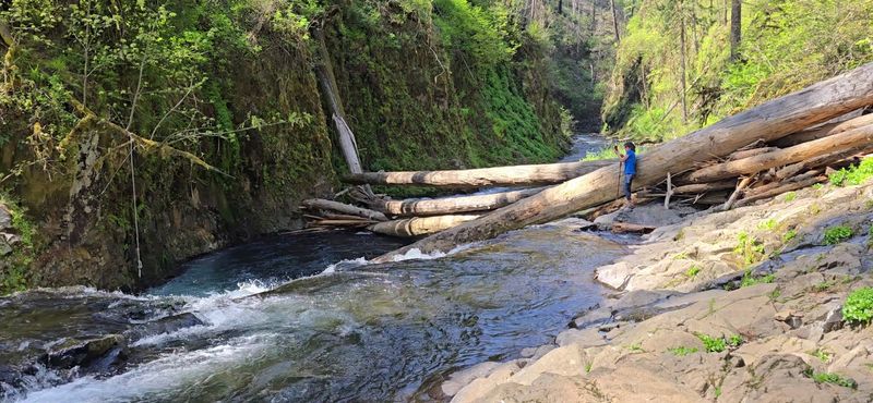 What to Wear and Pack for This Hike