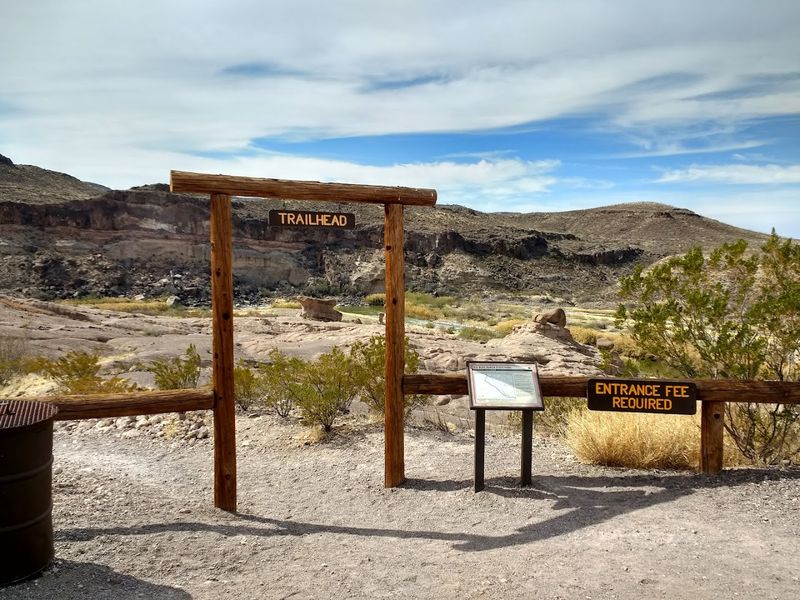 When to Go and How to Make the Most of the Visit