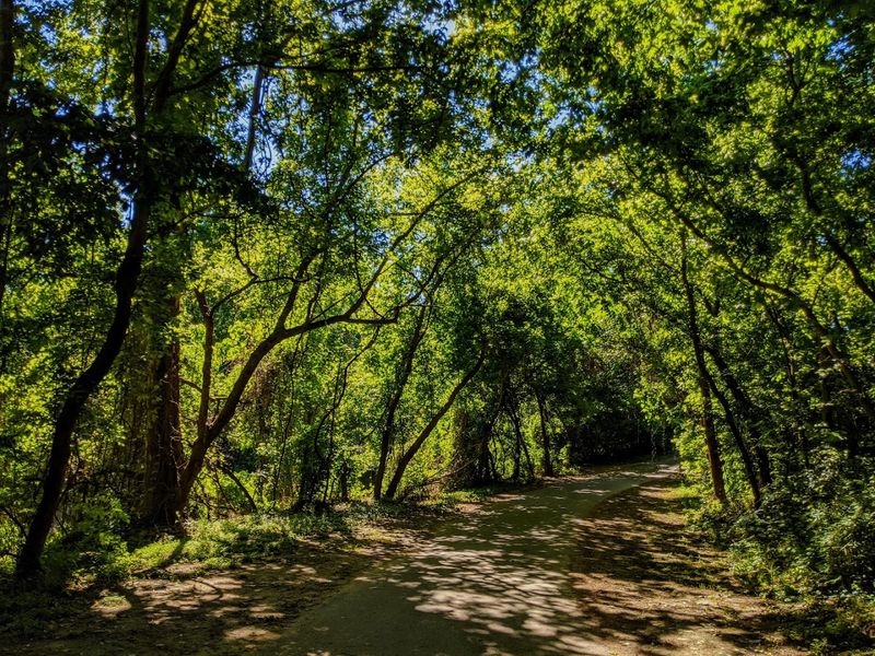 Where Buffalo Bayou Sets The Scene Where Buffalo Bayou Sets The Scene