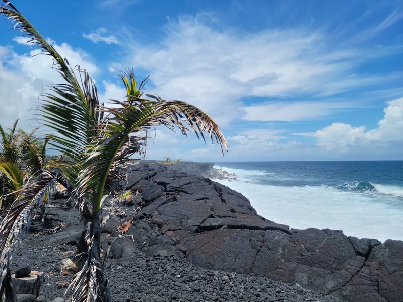 Where Fire Met the Sea: A Land Reborn from Lava Where Fire Met the Sea: A Land Reborn from Lava