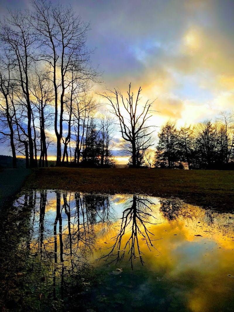 Where Sunsets Steal the Show Where Sunsets Steal the Show