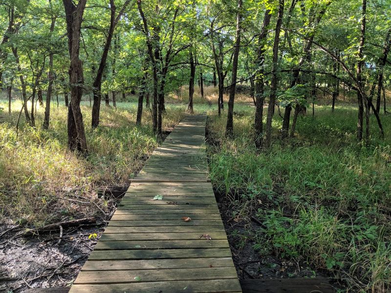 Where The Trail Begins To Pull You In