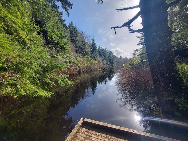 Where the Trail Meets the Disc Golf Course Where the Trail Meets the Disc Golf Course