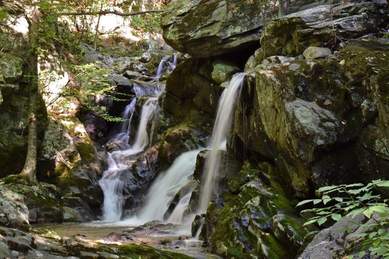 White Oak Canyon / Cedar Run Watering Hole White Oak Canyon / Cedar Run Watering Hole