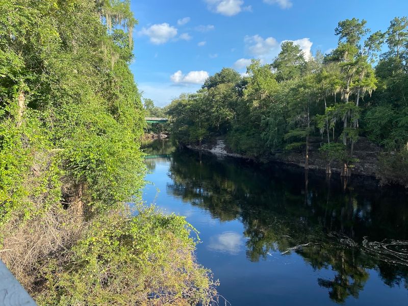 White Springs and Its Healing Mineral Springs History White Springs and Its Healing Mineral Springs History