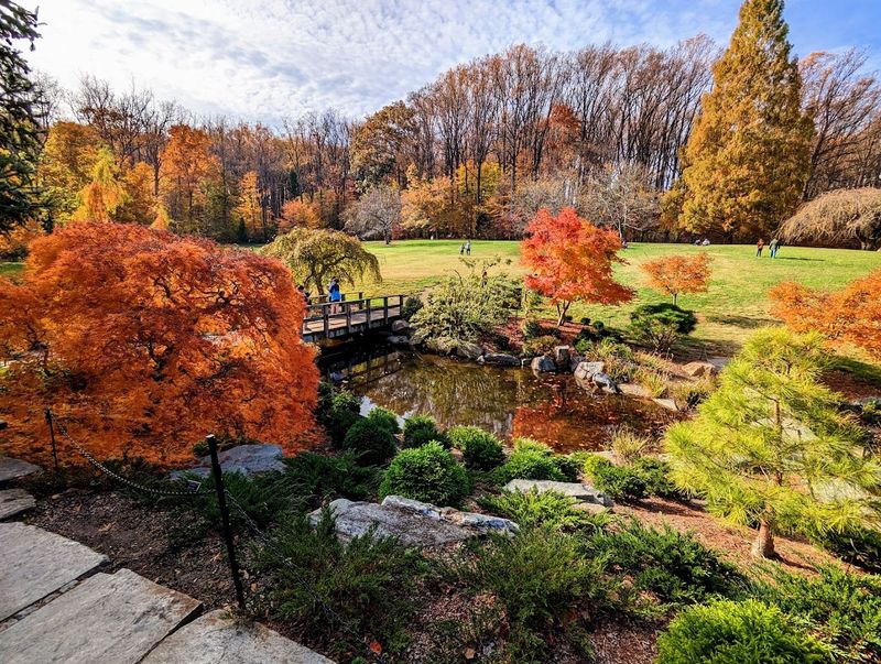 Why Brookside Gardens Deserves a Spot on Every Maryland Bucket List