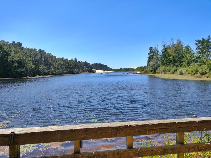 Why Cleawox Lake Deserves a Spot on Every Oregon Bucket List Why Cleawox Lake Deserves a Spot on Every Oregon Bucket List