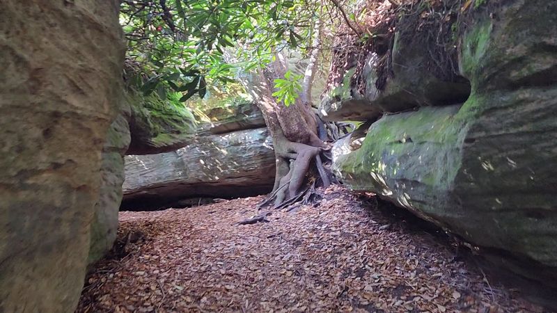Why Families Keep Coming Back to This Trail