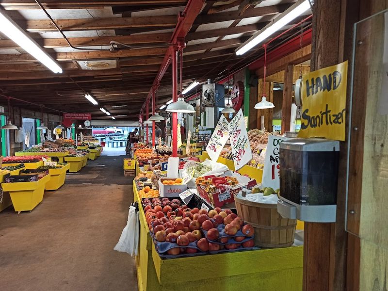 Why Farm Patch Has Stayed Relevant for Over Fifty Years Why Farm Patch Has Stayed Relevant for Over Fifty Years