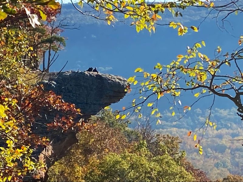 Why Hawksbill Crag Stays With You Long After You Leave Why Hawksbill Crag Stays With You Long After You Leave