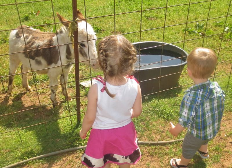 Why Kids Absolutely Love This Place