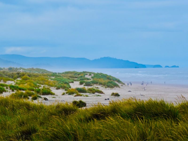 Why Manzanita Is the Quiet Coastal Escape People Keep Coming Back To