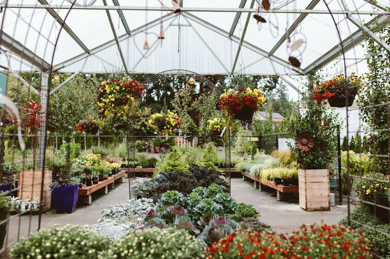 Why Plant Lovers Keep Coming Back Year After Year Why Plant Lovers Keep Coming Back Year After Year