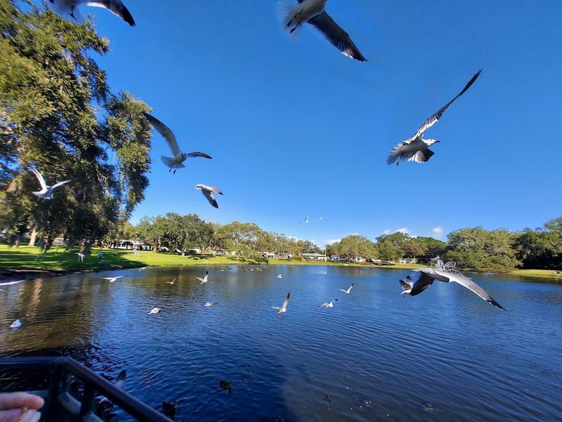 Why Seminole Deserves a Spot on Your Family Day Trip List Why Seminole Deserves a Spot on Your Family Day Trip List