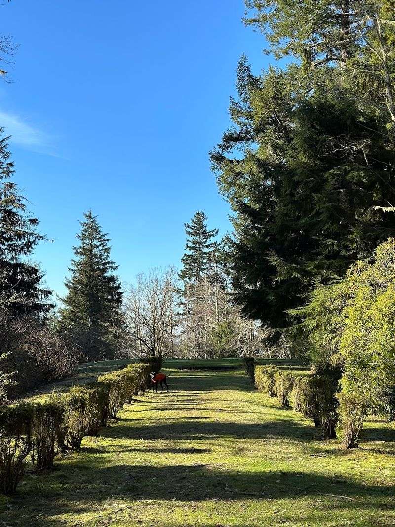Why Shively Park Deserves a Spot on Your Oregon Coast Itinerary Why Shively Park Deserves a Spot on Your Oregon Coast Itinerary