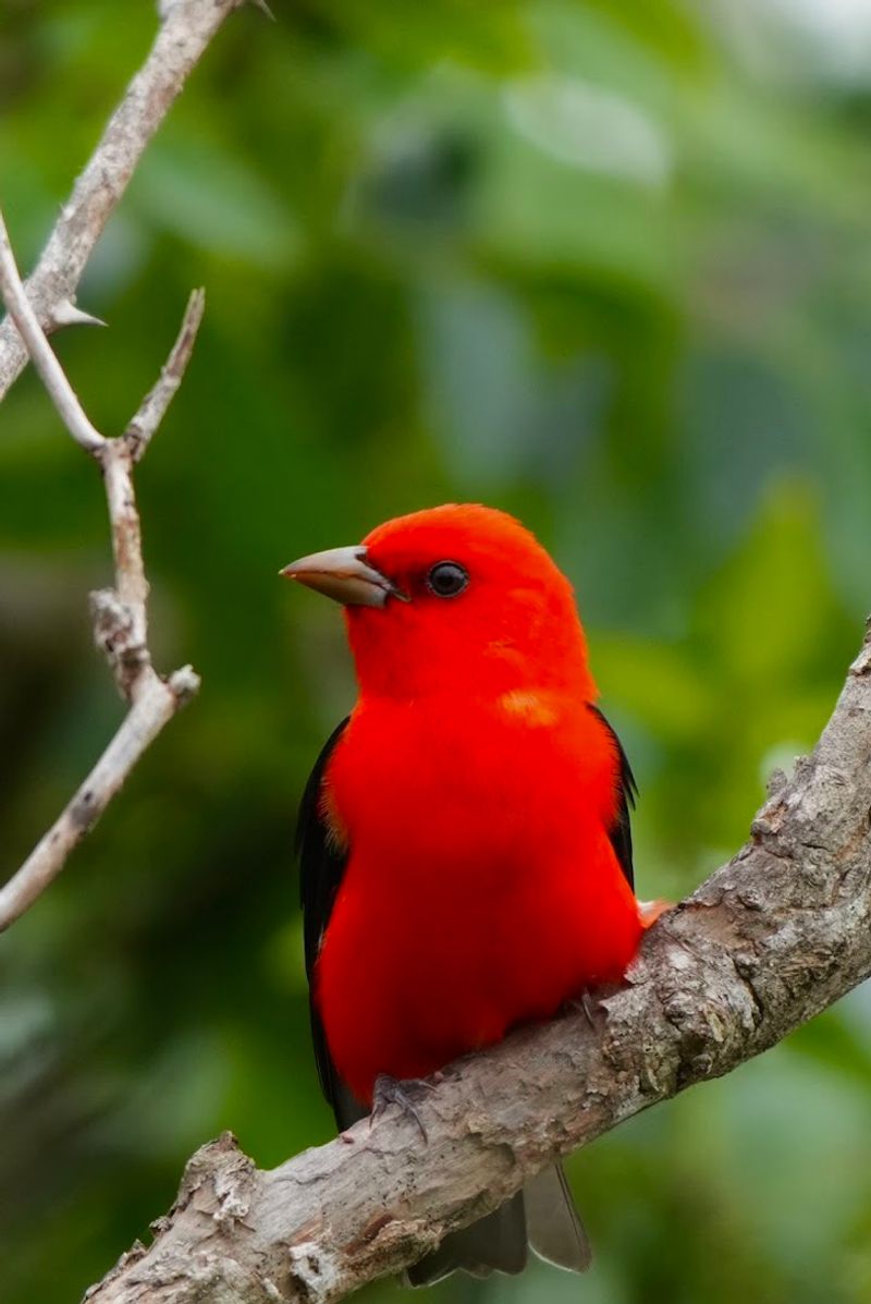 Why Spring Migration Turns This Place Into Pure Magic