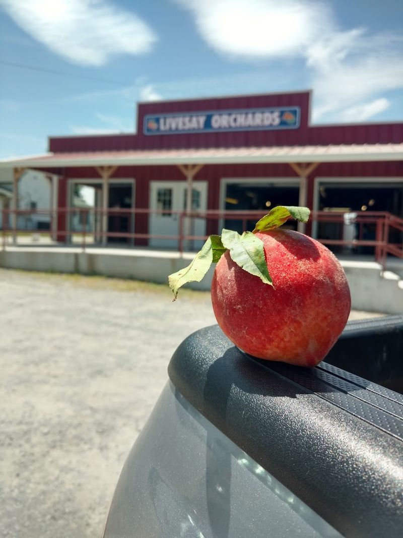 Why The Porter Peaches Matter