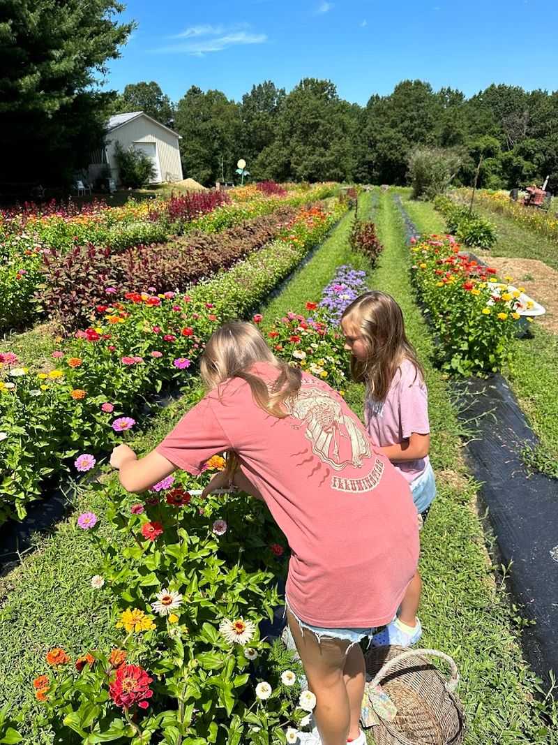 Why This Garden Keeps Pulling People Back Every Summer