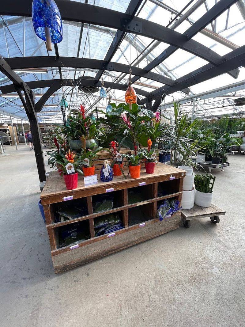 Why This Place Earns Repeat Visits Year After Year