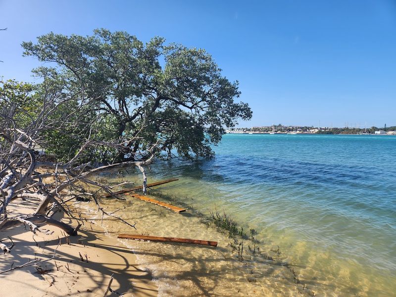 Why This Preserve Feels Unlike Anything Else on Florida's East Coast