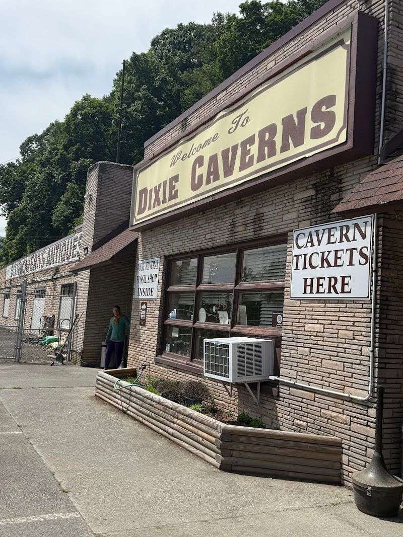 Why This Shop Belongs on Every Virginia Road Trip