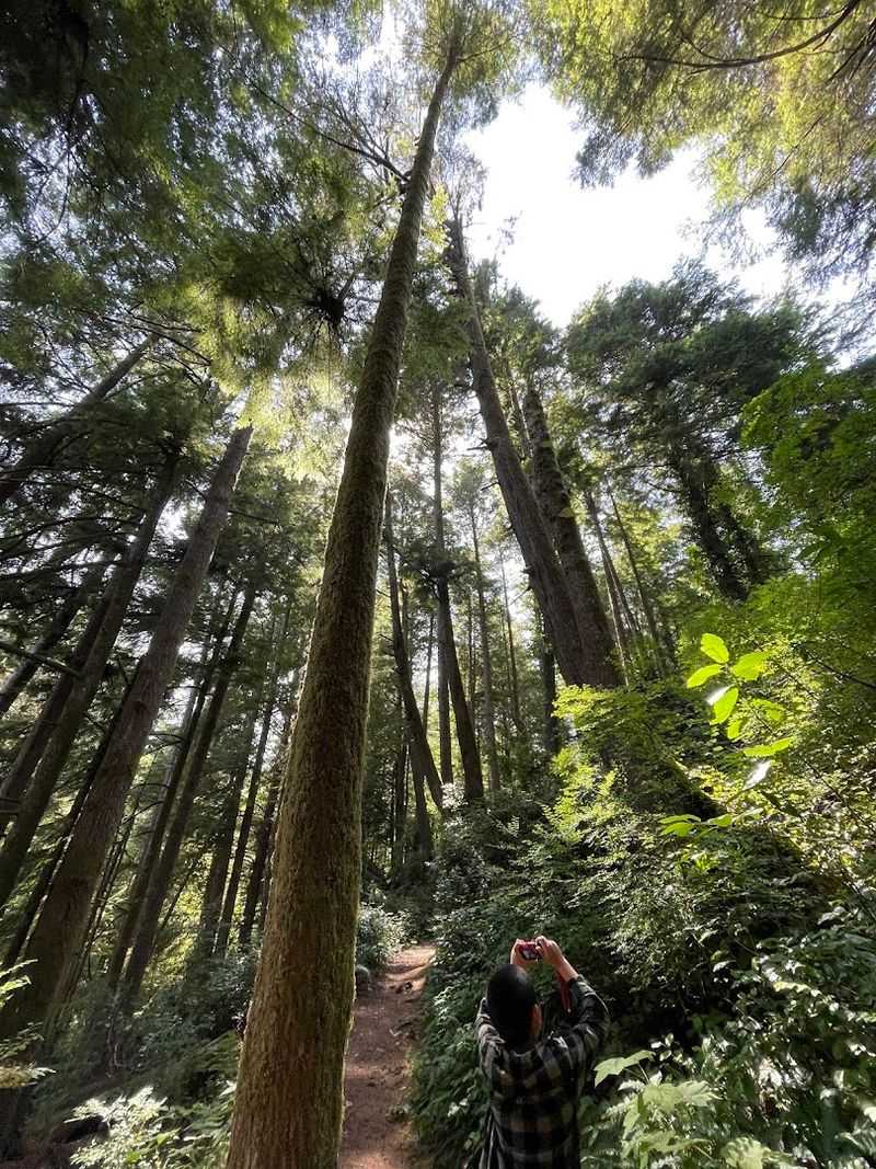 Why This Small Trail Deserves a Spot on Your Oregon Coast Itinerary Why This Small Trail Deserves a Spot on Your Oregon Coast Itinerary