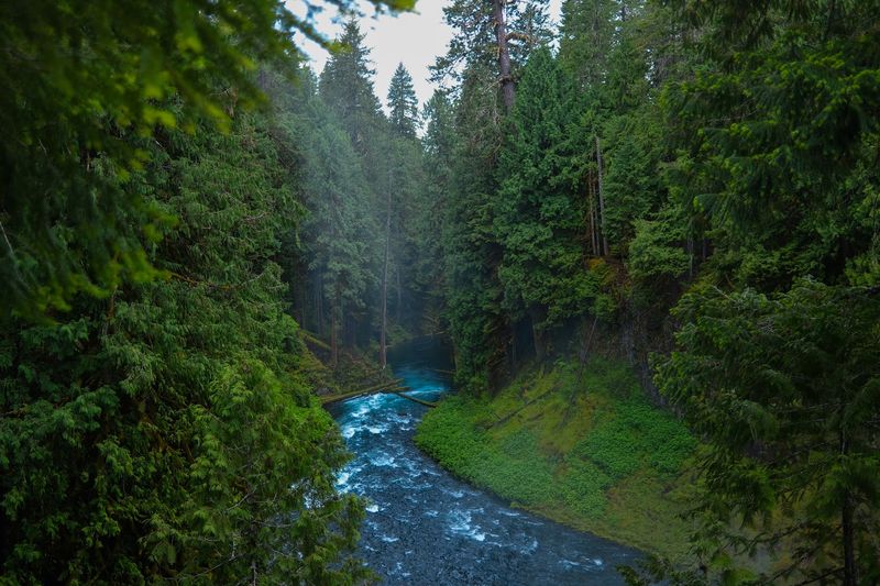 Why This Trail Deserves a Spot on Every Oregon Itinerary